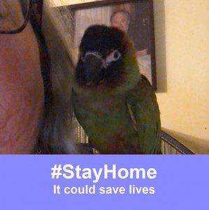 Meet your Posher, Valerie